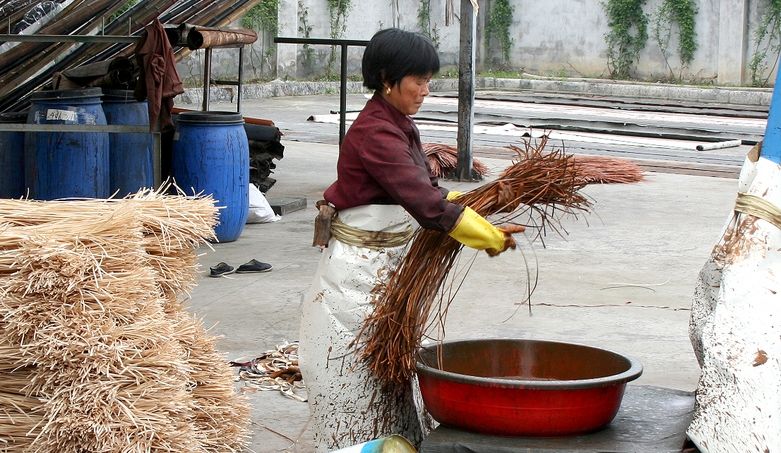 تولید کاغذ دیواری گیاهی