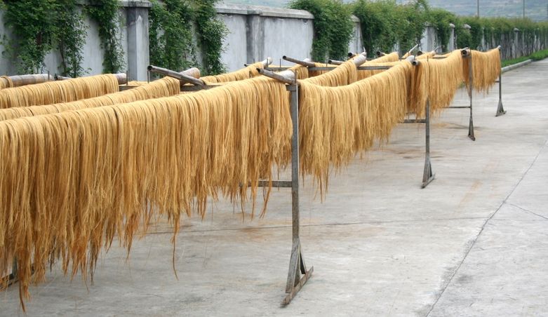 کاغذ دیواری گیاهی برا یچه مکانیست