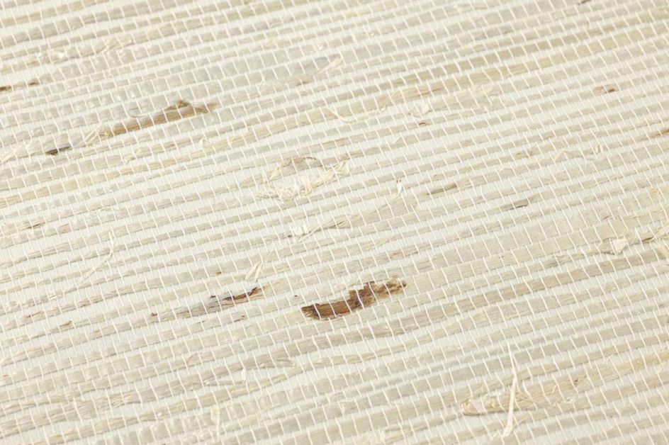 نکات مهم نصب کاغذ دیواری گیاهی